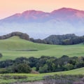 Discover the Best Places to Listen to Local Music in Contra Costa County, CA