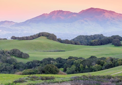 Discover the Best Places to Listen to Local Music in Contra Costa County, CA