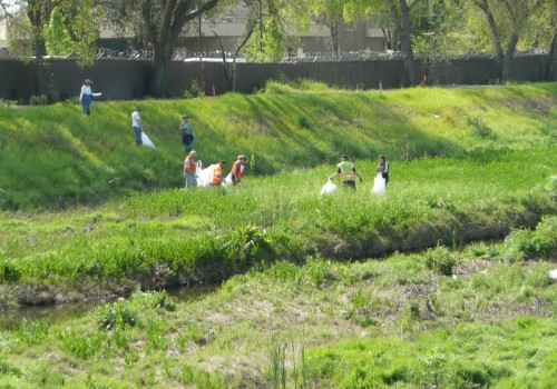 Volunteering in Contra Costa County: Where to Make a Difference